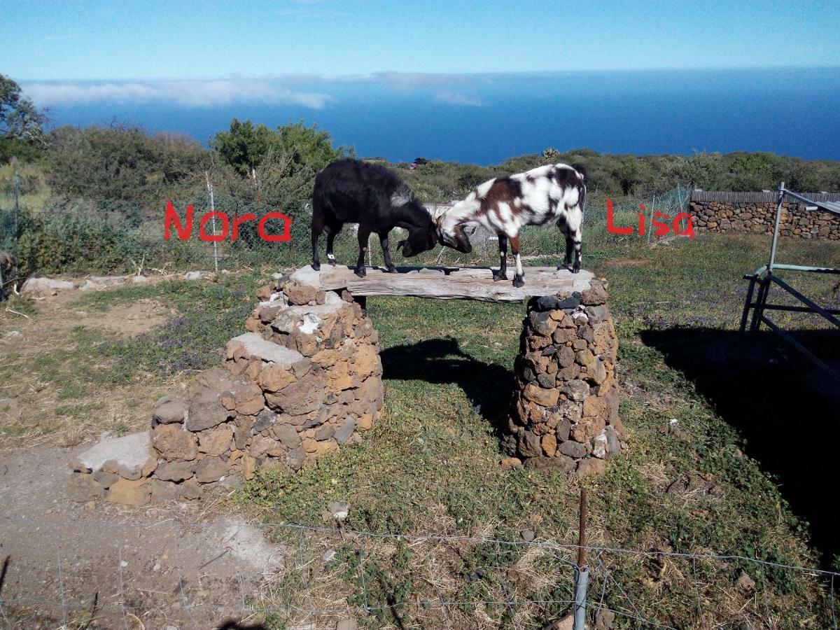 Finca La Ramona Isora Exteriér fotografie